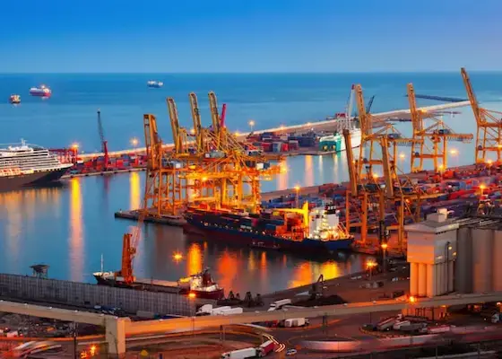 Customs clearance at a busy seaport, with cargo cranes and ships handling international freight shipments