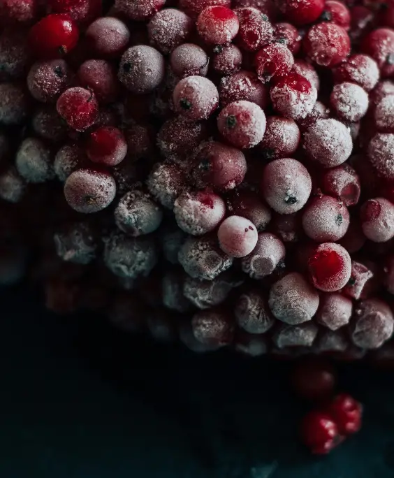 Jade International perishable and temperature-controlled import of frozen berries