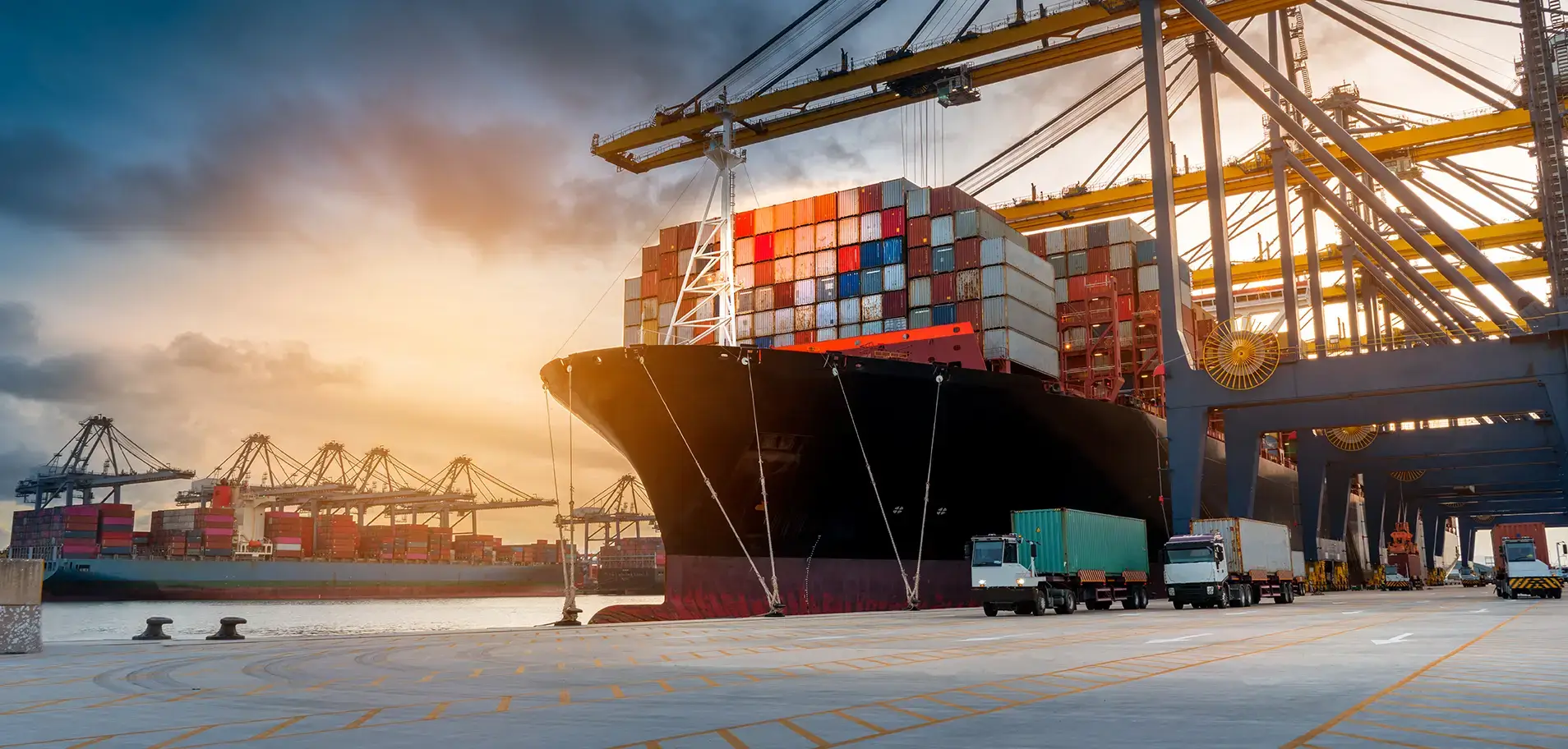 Global Pharmaceutical Export & Logistics Management